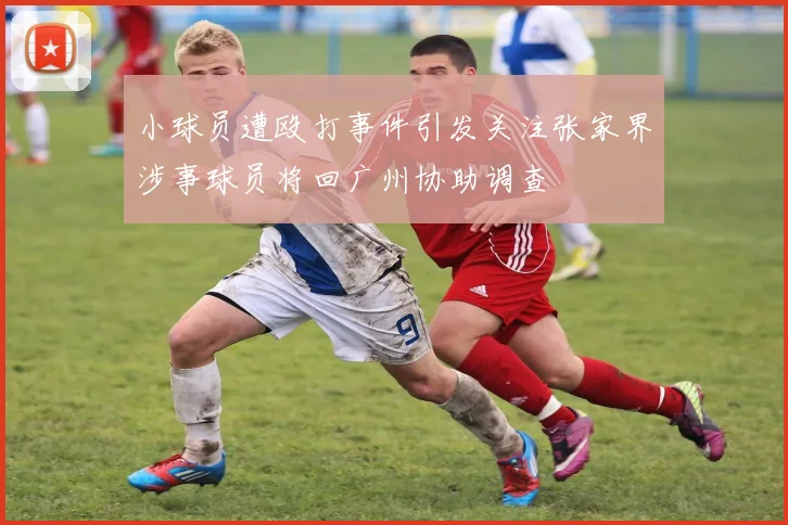 小球员遭殴打事件引发关注张家界涉事球员将回广州协助调查